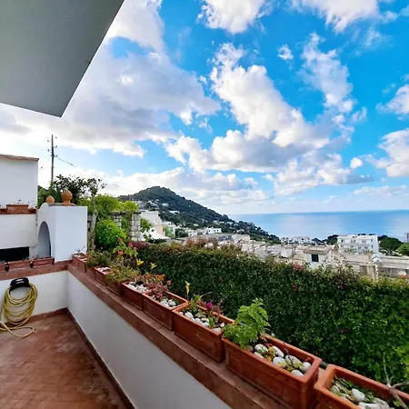 Apartment Sopramonte 39 *